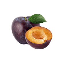 plum (1)